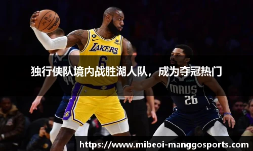 芒果体育官网入口